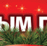 С Новым годом! - Приволжская правда