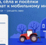 На Госуслугах стартовало голосование за населённые пункты, в которые проведут интернет 4G - Kineshemec.Ru