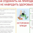 Правила безопасного пикника - 168.Ru
