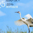 День праздников, которых никто не ожидает: 25 марта - 168.Ru