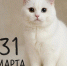 День праздников, которых никто не ожидает: 31 марта - 168.Ru