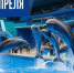 День праздников, которых никто не ожидает: 14 апреля - 168.Ru